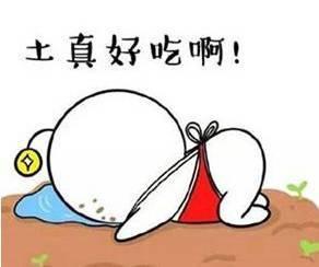 吃土的十二个月,吃土十二月的温馨记忆