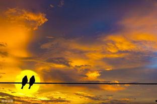 黎明披上星芒时,晨曦之光下的美好瞬间